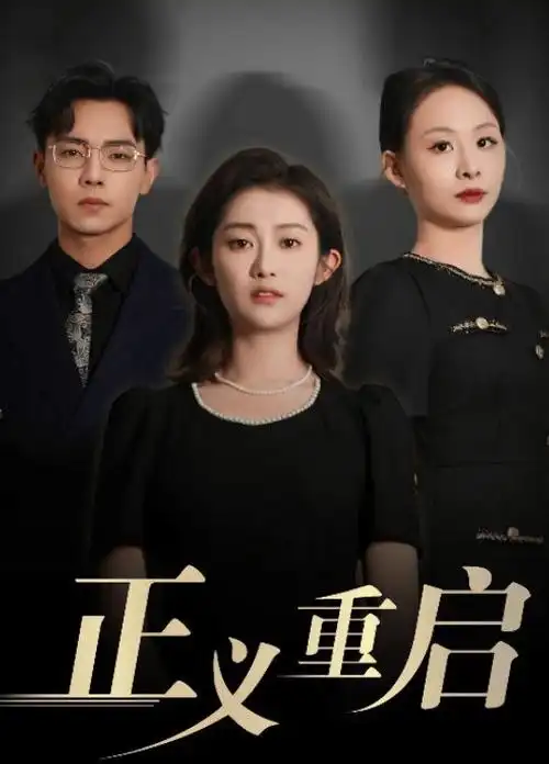 追风者 电视剧封面